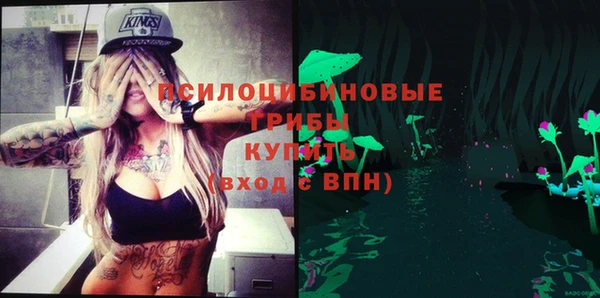 a pvp Осинники
