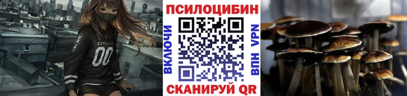 даркнет Telegram  Трубчевск  Галлюциногенные грибы Magic Shrooms  сколько стоит 